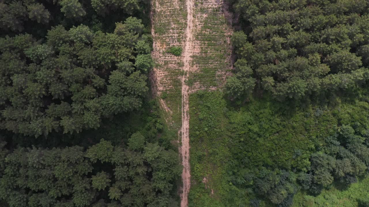 Aerial shot of a lush forest in Riva, Istanbul, T&uuml;rkiye