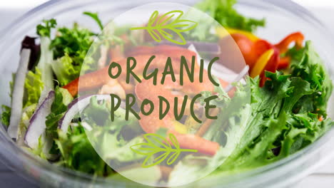 animación de texto de producto orgánico en verde, sobre un tazón de ensalada fresca