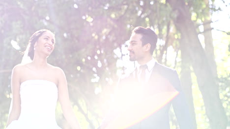 Wedding,-park-and-couple-walking