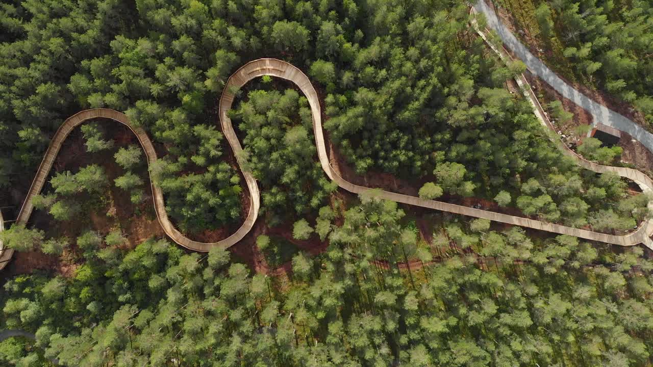 노르웨이 의 파이어스달 에서 여름 에 소나무 숲 에 둘러싸인 하마렌 산책로 의 상공 풍경