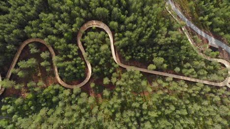 Vista-Aérea-Del-Sendero-Hamaren-Rodeado-De-Un-Bosque-De-Pinos-En-Verano-En-Fyresdal,-Noruega