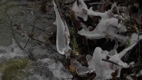 in the doftana valley in romania i found a river that flows smoothly with trees and frozen plants on the edge. ice stalactites look like bright crystals in nature.
