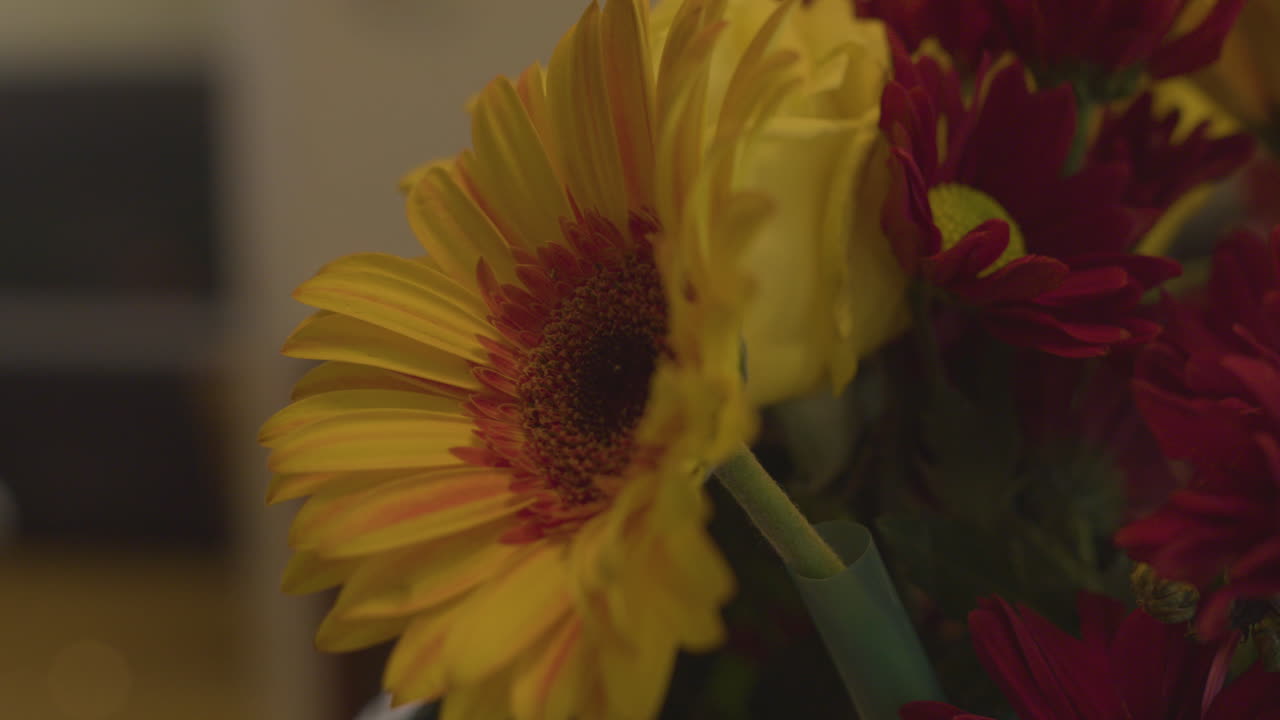 primo piano di un fiore di tipo margherita gialla in un bouquet