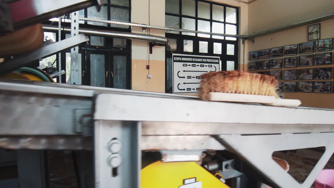 Tea Garden Shinkiari (Tea Processing Machine) #5, Processed tea collecting.