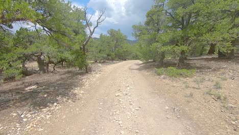 POV-driving-in-off-road-on-narrow-dirt-trail-on-mountainside-of-Colorado