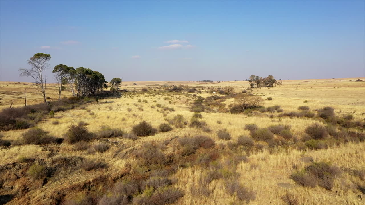 Riprese da drone della savana africana