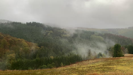 mountain neuastenberg with fog