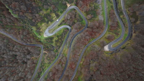 aerial view of winding road through a forest