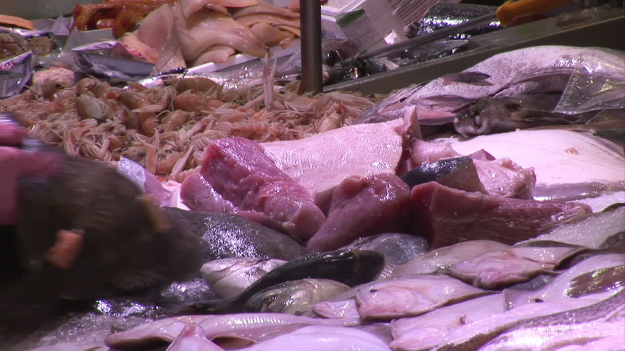 mercado de material de archivo