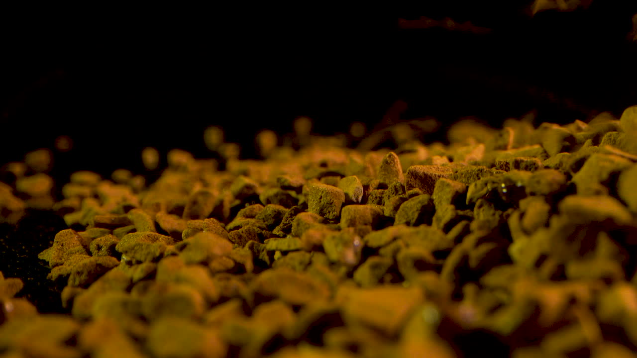 macro caída de café instantáneo sobre fondo negro