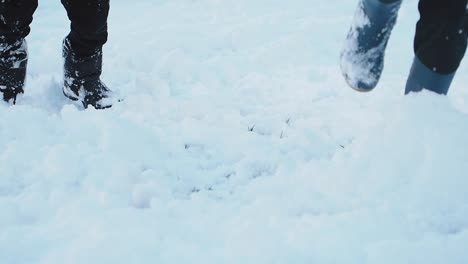 people walking in snow