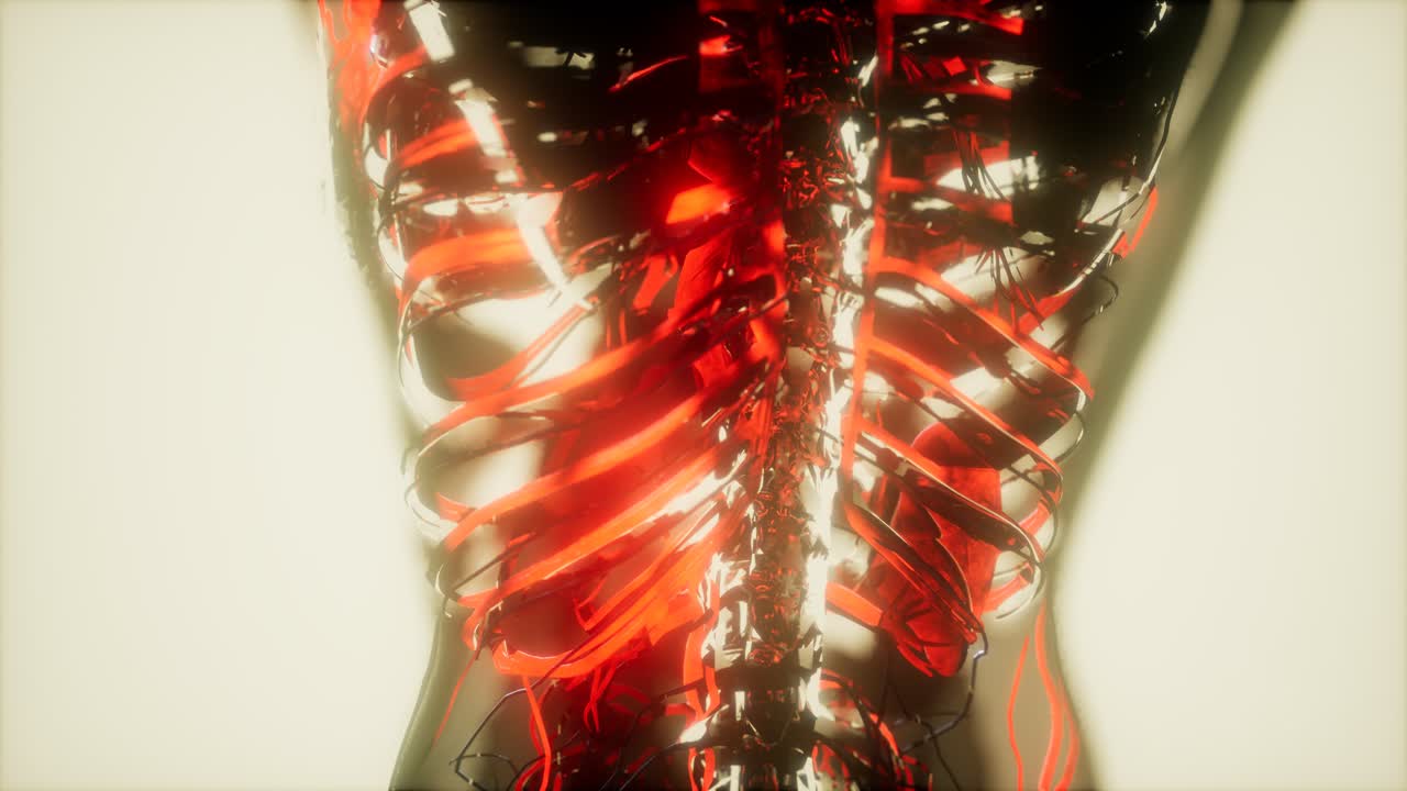 inspección de la sangre en los vasos sanguíneos del sistema circulatorio