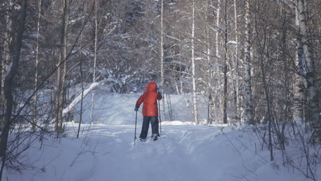 child snowshoeing in a snowy forest