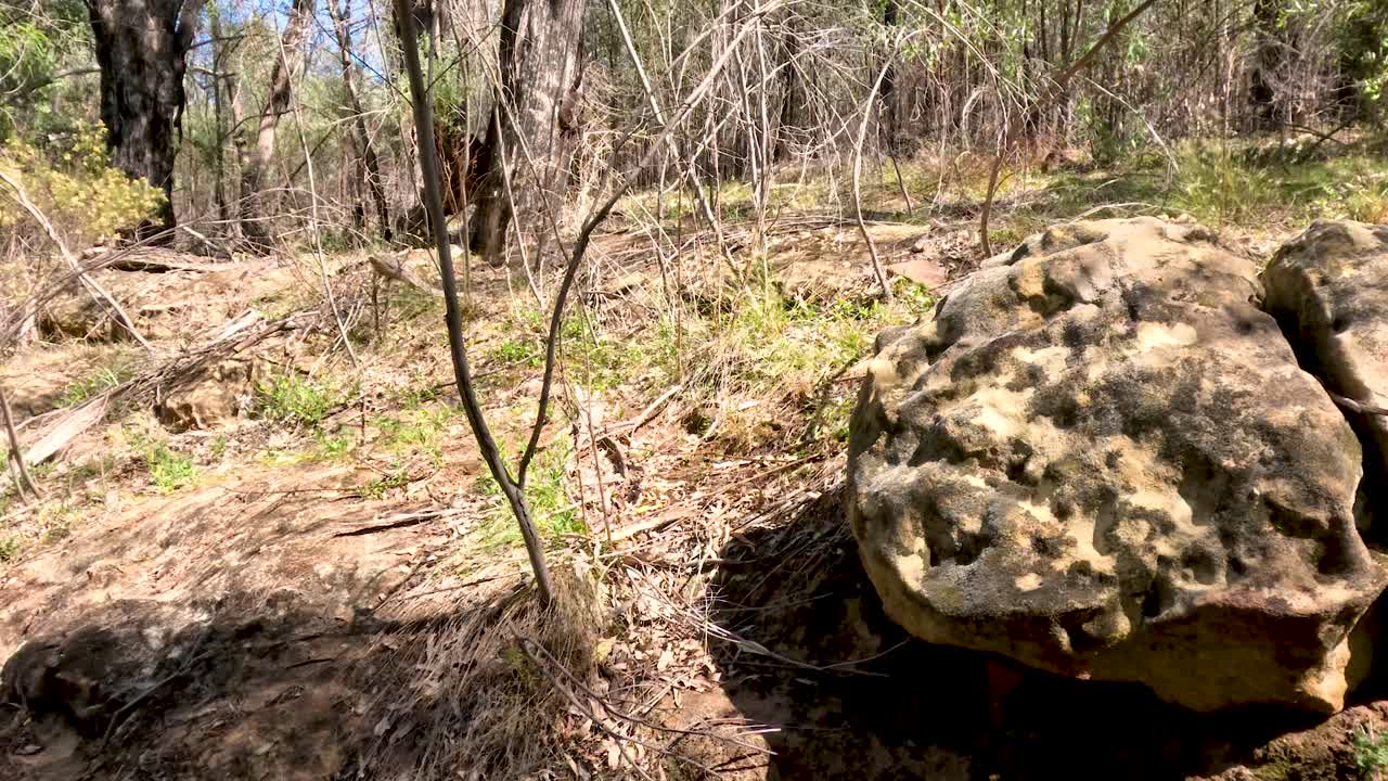 una roca grande con una grieta visible