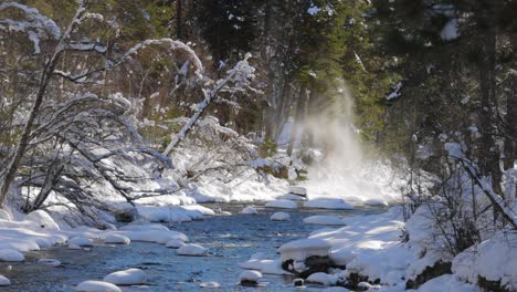 beautiful snow scene forest in winter.