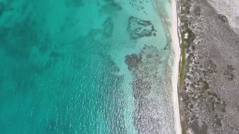 top view tilt up reveal cayo de agua tropical island with flooded sandbar, drone shot