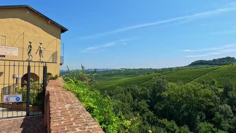 panoramic view of lush vineyards and hills