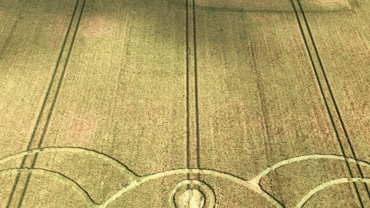 Golden wheat jester crop circle meadow aerial view circling above rural Stonehenge farmland field