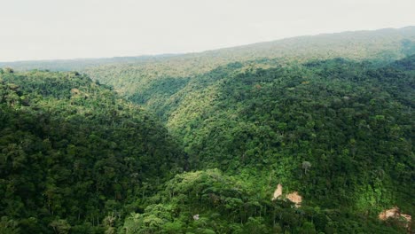 Überflug-Durch-Einen-Wunderschönen-Wald