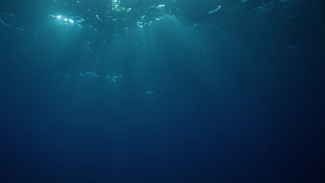 sunbeams penetrating wavy ocean surface. ocean background light shafts vfx element. underwater tropical marine footage. diving, snorkeling paradise. summer vacation destination. ocean vfx elements.