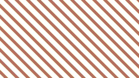 animation consisting of intersected colored stripes.