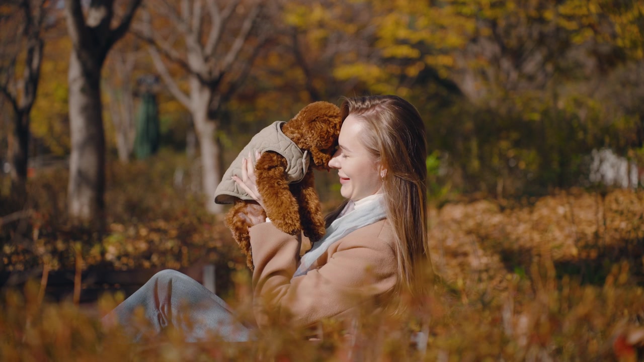 Una donna tiene gioiosamente in braccio un piccolo barboncino toy marrone, in un parco autunnale con fogliame colorato sullo sfondo. Una ragazza bionda guarda l'animale domestico marrone con affetto e tenerezza - slow motion.