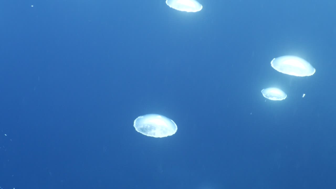 하늘과 표면에 가까운 수중 바다 풍경 태양 광선과 공기 거품 느리게 편안한 바다 배경