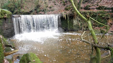 small autumn woodland copper waterfall pouring into forest wilderness creek below slow left dolly
