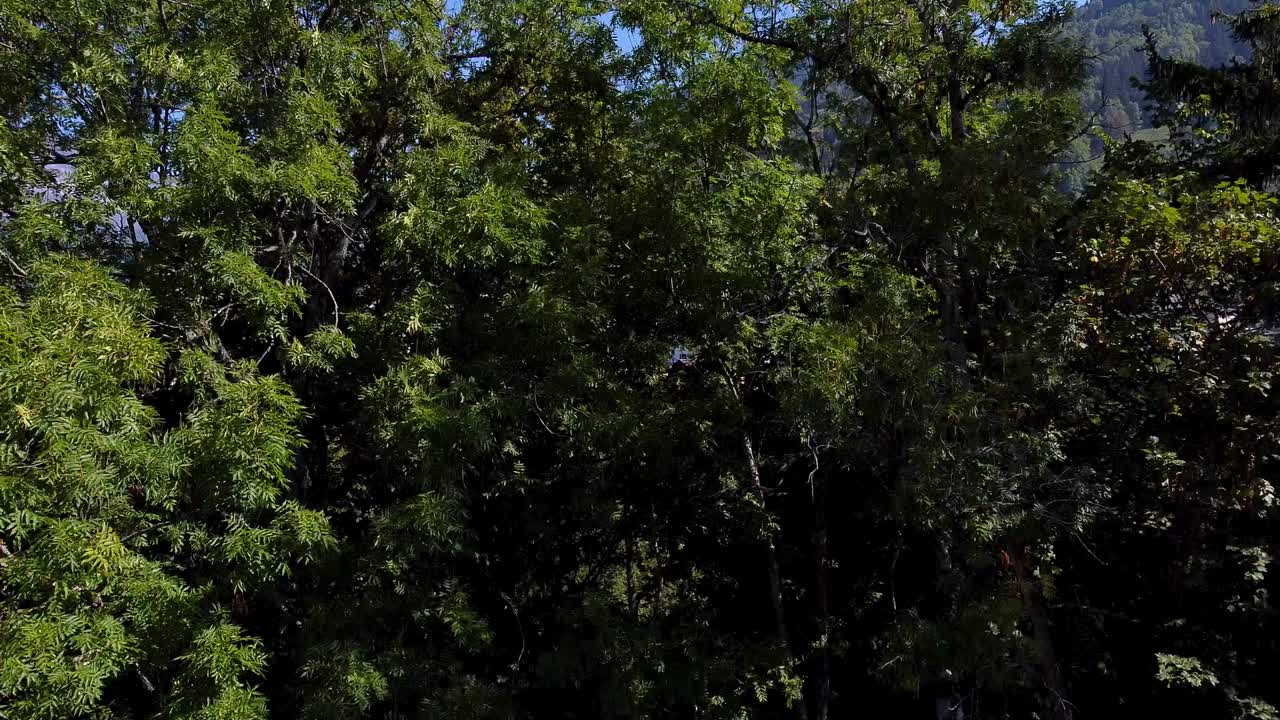 飞向上方 揭示一个美丽的阿尔卑斯山村庄