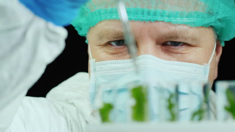 scientist conducts research with plants in lab 3