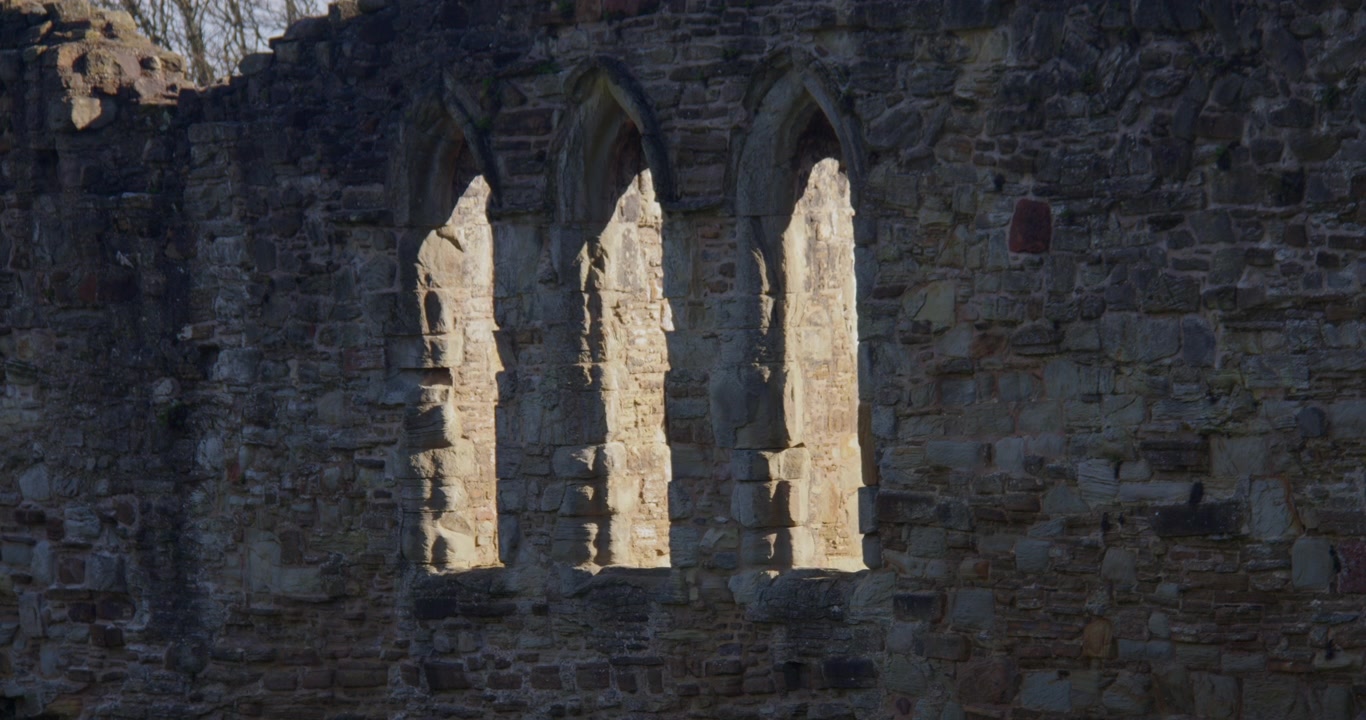 Billede af stenruder på vestfacaden af Basingwerk Abbey