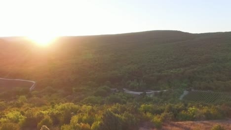 sunset over mountainous forest landscape