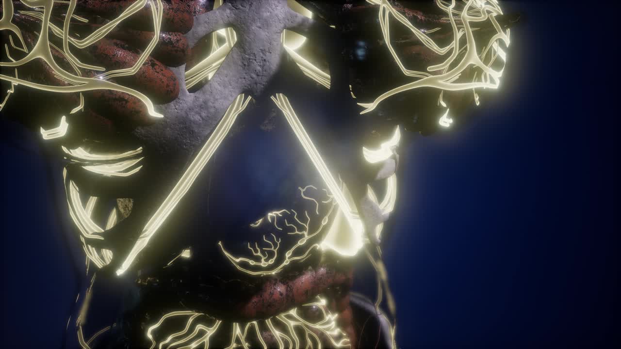 cuerpo humano con vasos sanguíneos brillantes