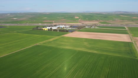 aerial shot vibrant green agricultural green fields close up, in the countryside on a spring sunny day