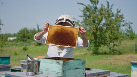 beekeeper inspecting honeycomb