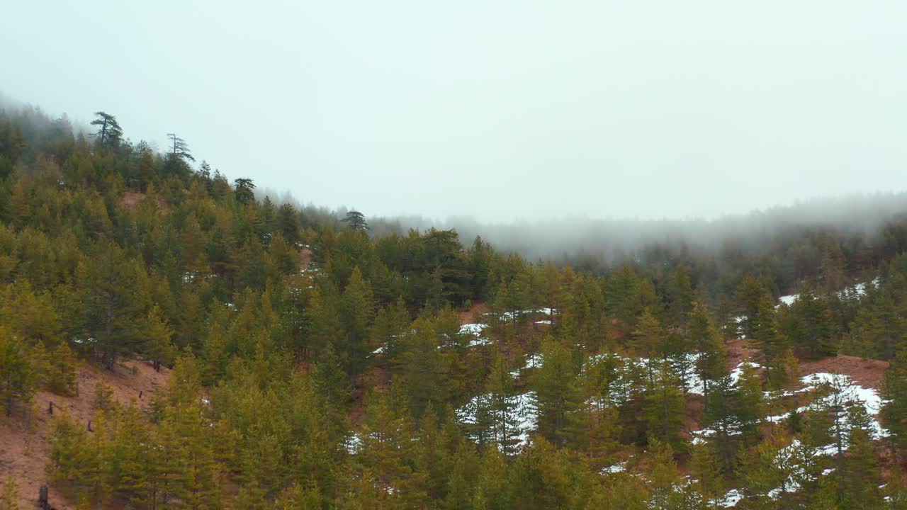 Scenery Of Coniferous Mountains During Foggy Day At Winter. - Aerial Shot