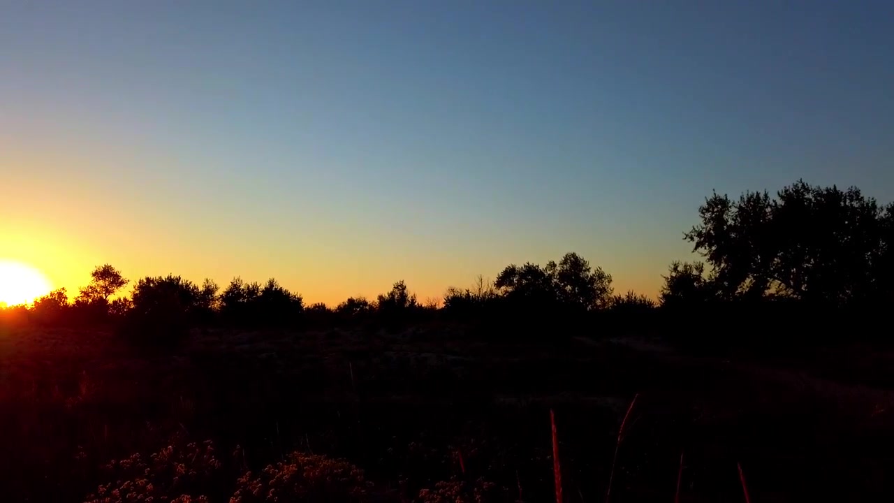 Filmando árvores ao pôr do sol. Filmando no verão.