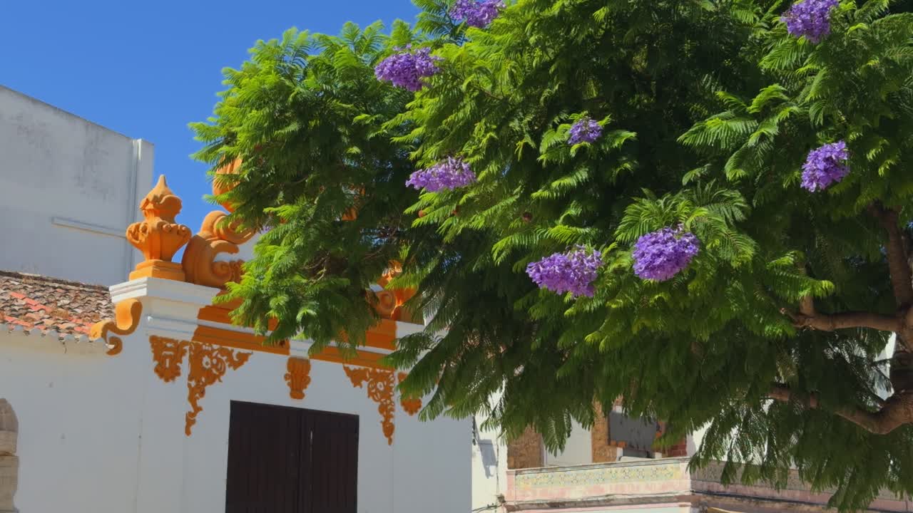 Algarve epic locations beautiful colours and ornate building in Lagos Portugal in summer