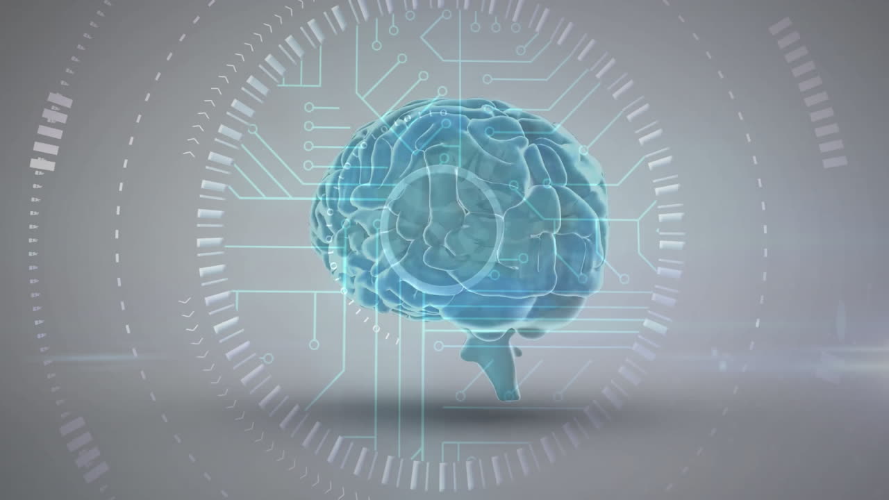 회로와 데이터 처리를 가진 디지털 뇌 애니메이션, 회색 배경