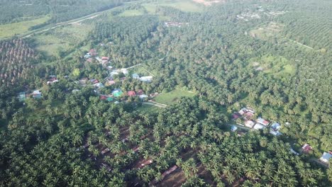 Malaysisches-Dorf,-Umgeben-Von-Ölpalmenplantagen-In-Malaysia.