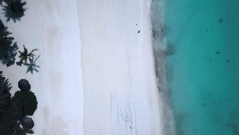 1 million $ aerial flight slowly rise up drone shot of a dreamy white sandy beach with turquoise water and palm trees paradise zanzibar, africa 2019