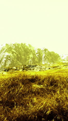mountain landscape with yellow haze showcasing dramatic terrain and vegetation