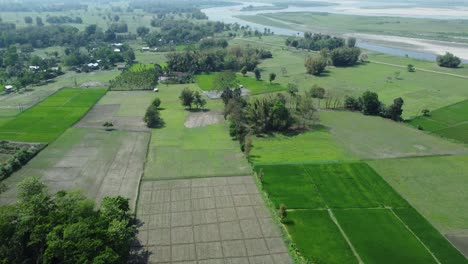 Drone-view-shot-of-asian-largest-river-island-majuli-Island