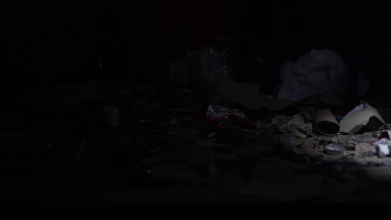 경찰 플래시 라이트, 마약 생활, 연기, 총기 및 어두운 폭력