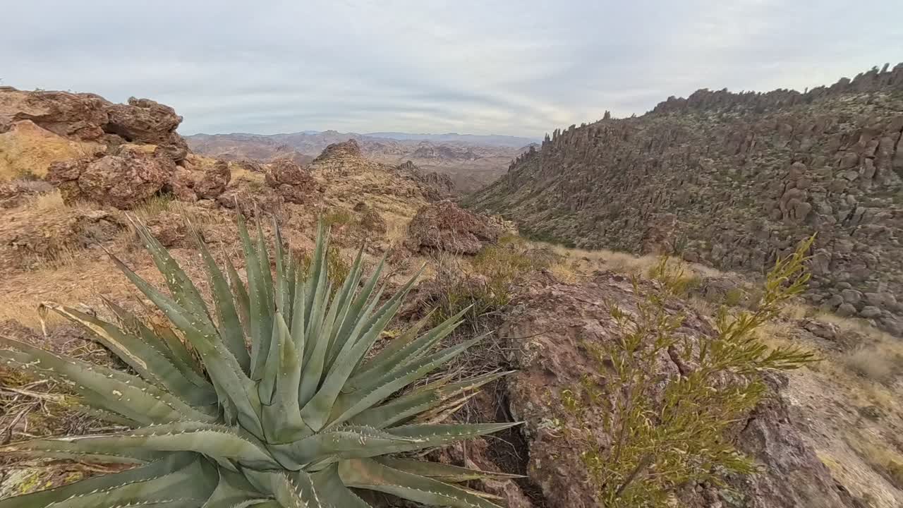 Static Cloud Time Lapse of agave and Peralta Trail in the Superstition Mountains