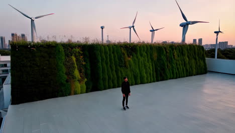 person on a rooftop with a vertical garden and wind turbines against a sunset sky