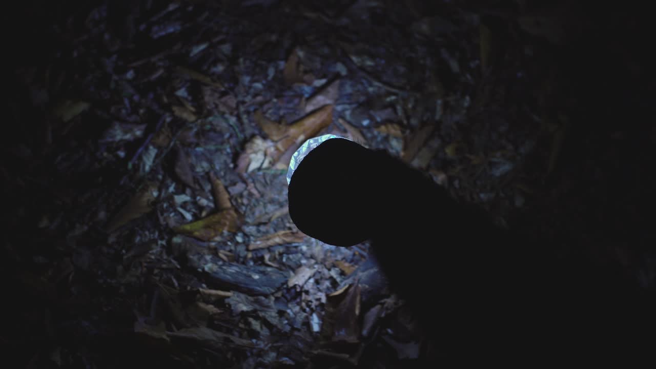 땅을 가리키는 지이에 빛을 습니다.