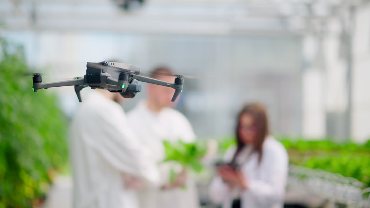 Drone filming three laboratory technicians in white coats working with plants grown with the Hydroponic method in a greenhouse