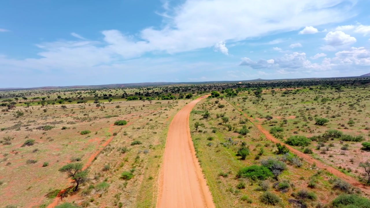 Veduta drone di un sentiero di sabbia rossa che si snoda attraverso la savana secca del Kalahari con arbusti sparsi. Il sentiero solitario attraversa sabbia rossa infinita ed erba dorata punteggiata da robusti alberi di acacia.