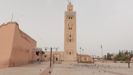 amplia vista de la mezquita de koutoubia con pájaros